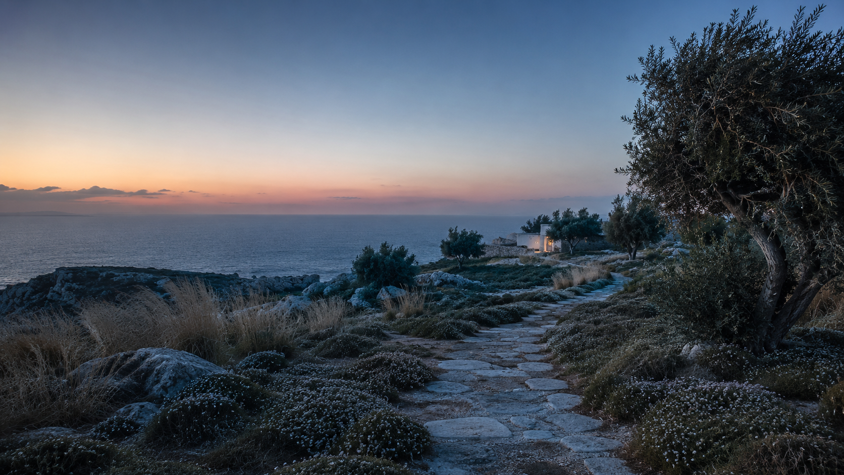 Stone path through olive trees leading toward the Aegean